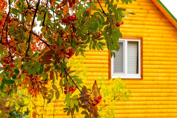 Garden Window Replacement in Crown Point